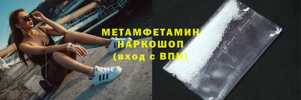 прущие грибы Покачи