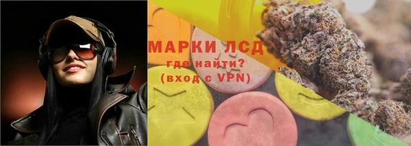 прущие грибы Покачи