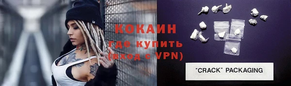 прущие грибы Покачи