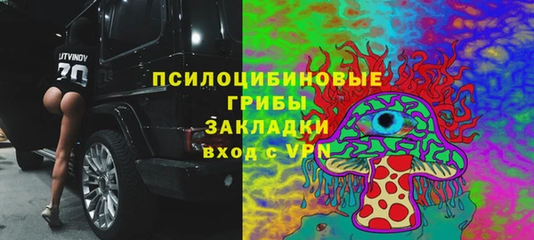 прущие грибы Покачи