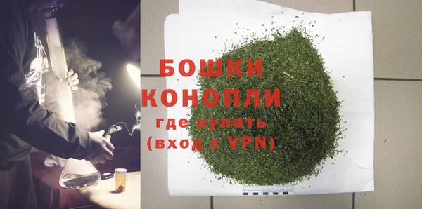 прущие грибы Покачи