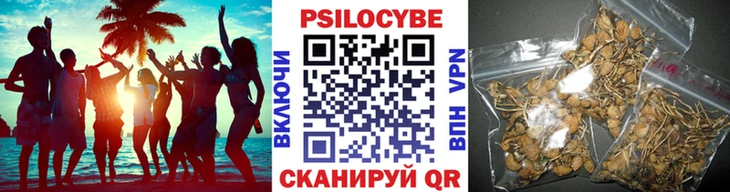 Псилоцибиновые грибы MAGIC MUSHROOMS  Купить  Ковдор 